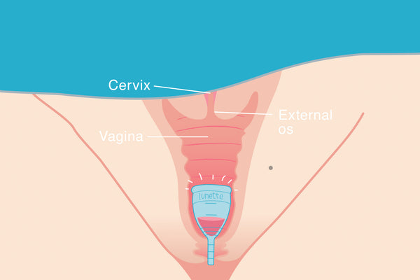 Vaginas clamp up in water, which can stop your period. Can't wait