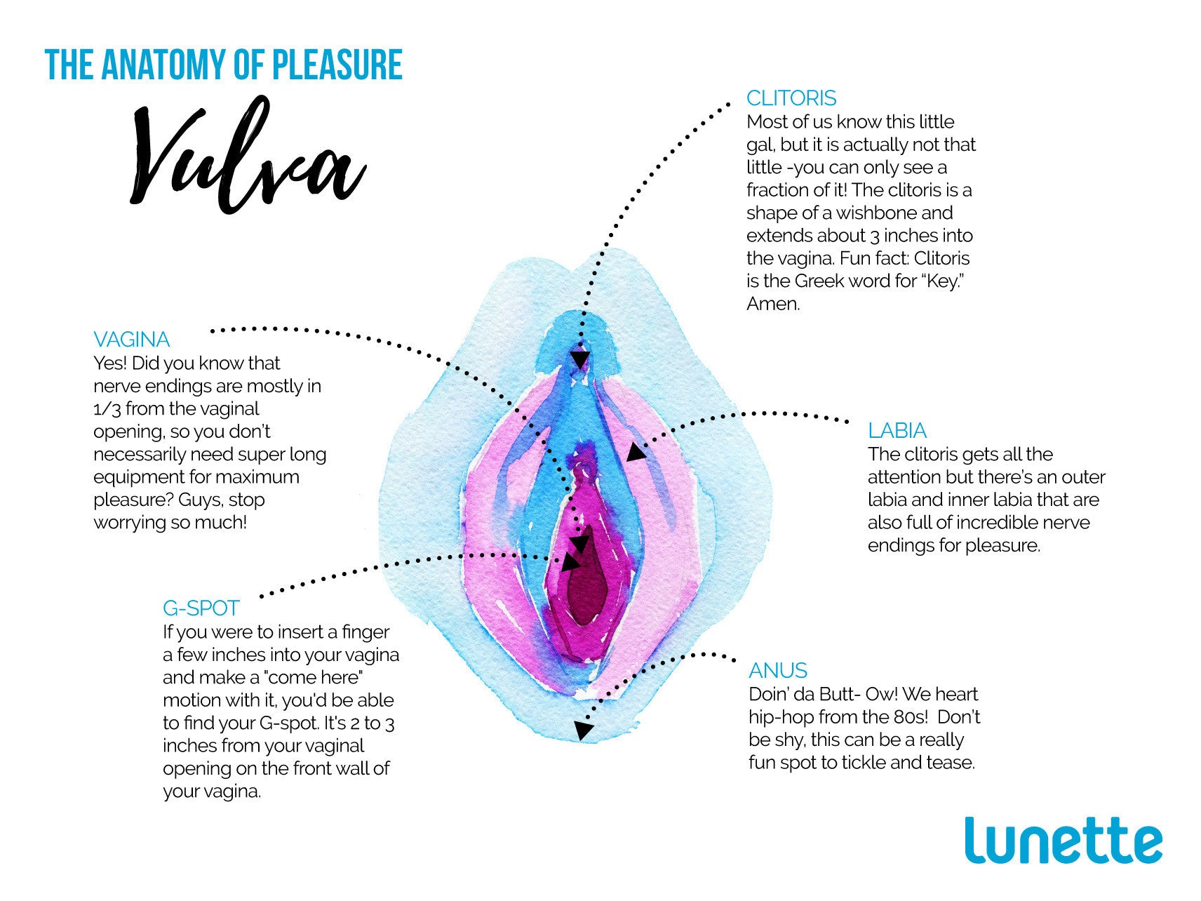 The Anatomy of Pleasure